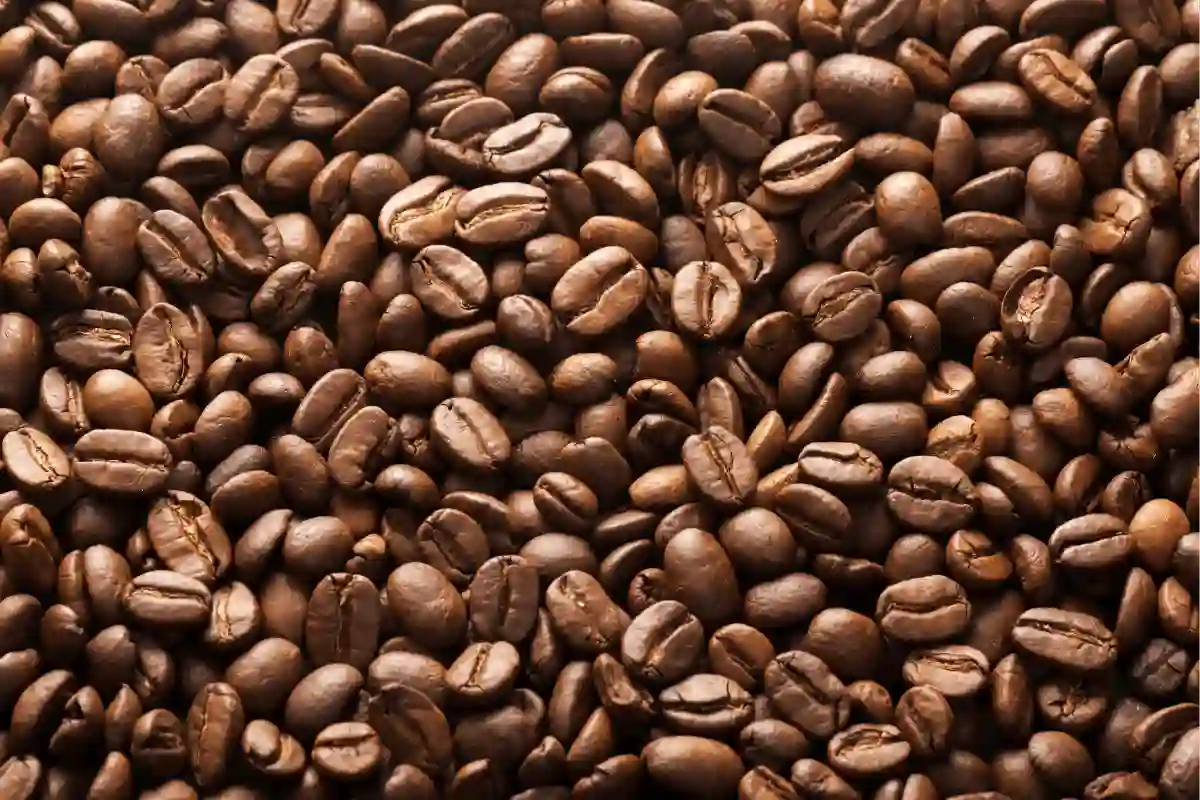6-dicas-escolher-melhores-graos-cafe