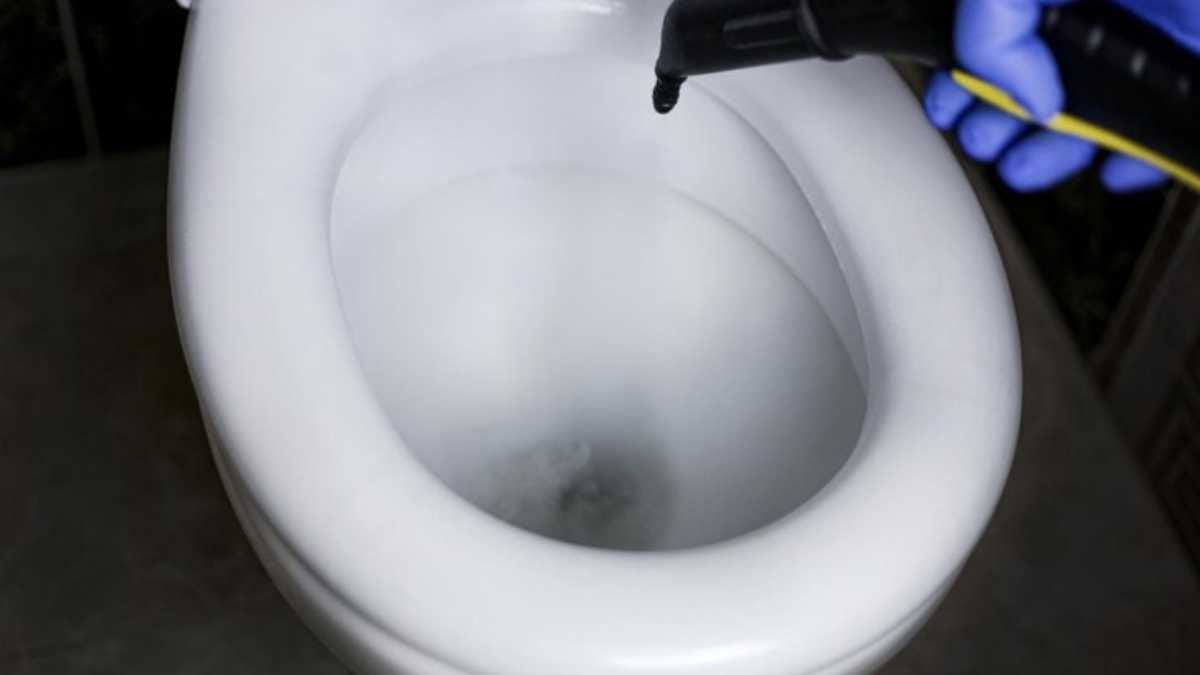 Como Agendar a Visita de uma Desentupidora de Vaso em SP