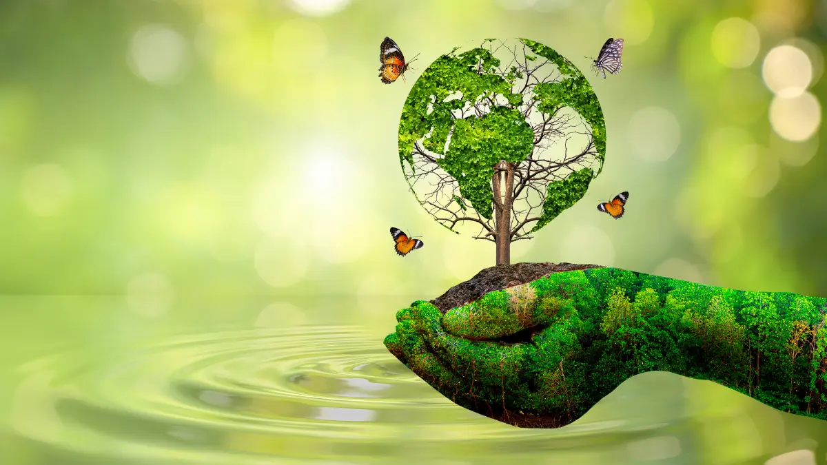 Como a economia se relaciona com o meio ambiente