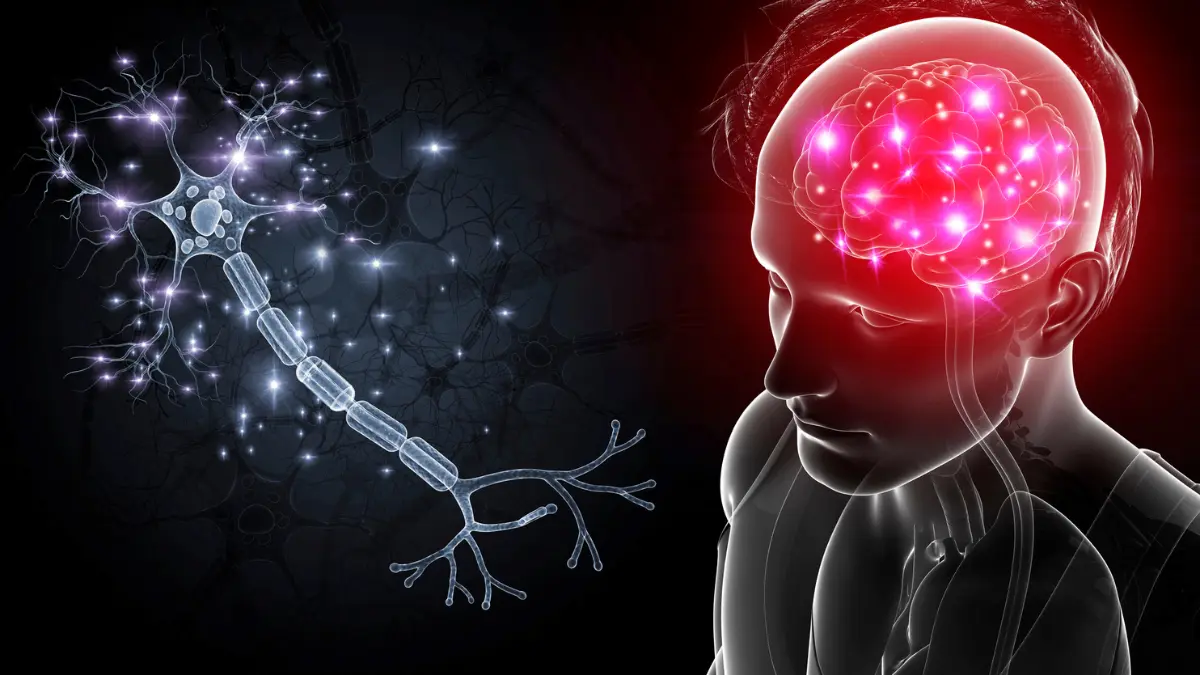 Como as drogas podem impactar o sistema nervoso