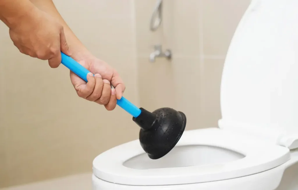 Como desentupir vaso sanitário que caiu objeto dentro Dicas simples e eficazes