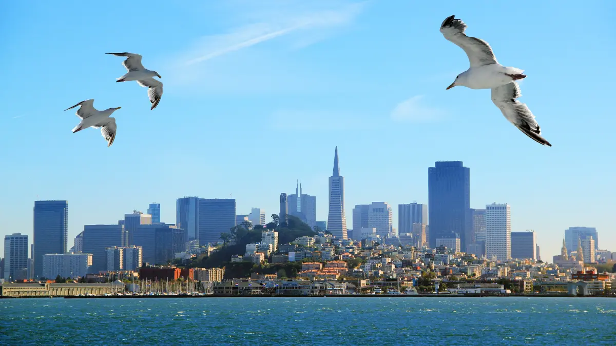 Como é o Verão em San Francisco