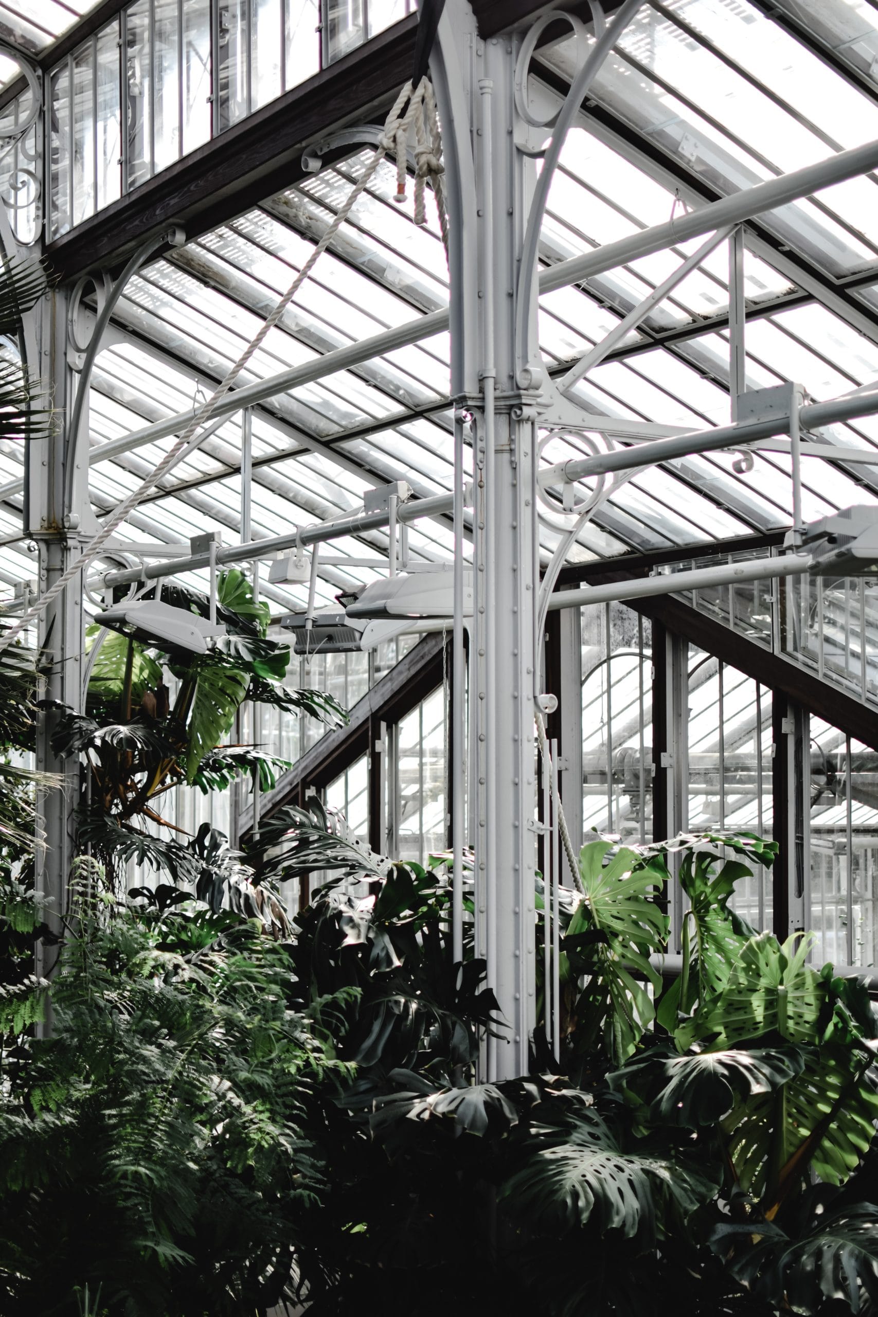 Como fazer um jardim de inverno no seu imóvel