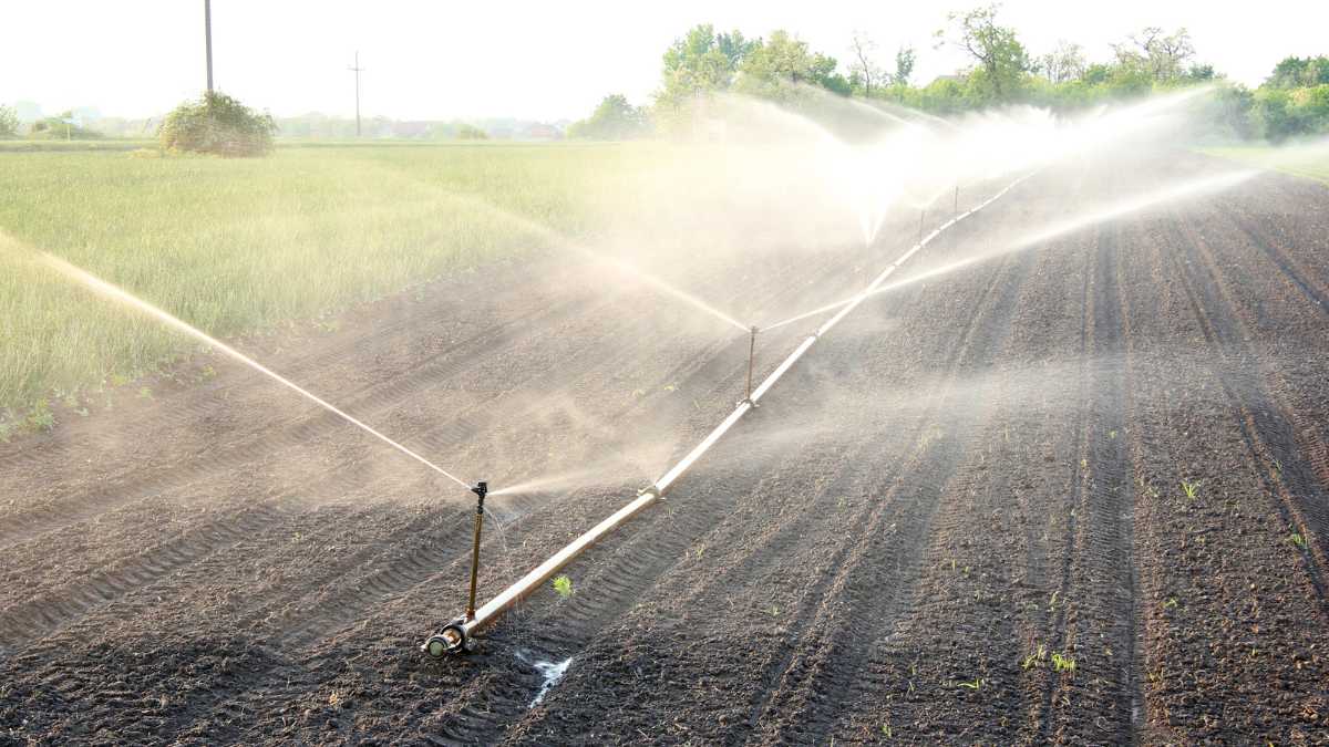 Conheça os Sistemas de Irrigação que Estão Fazendo Sucesso no Agro