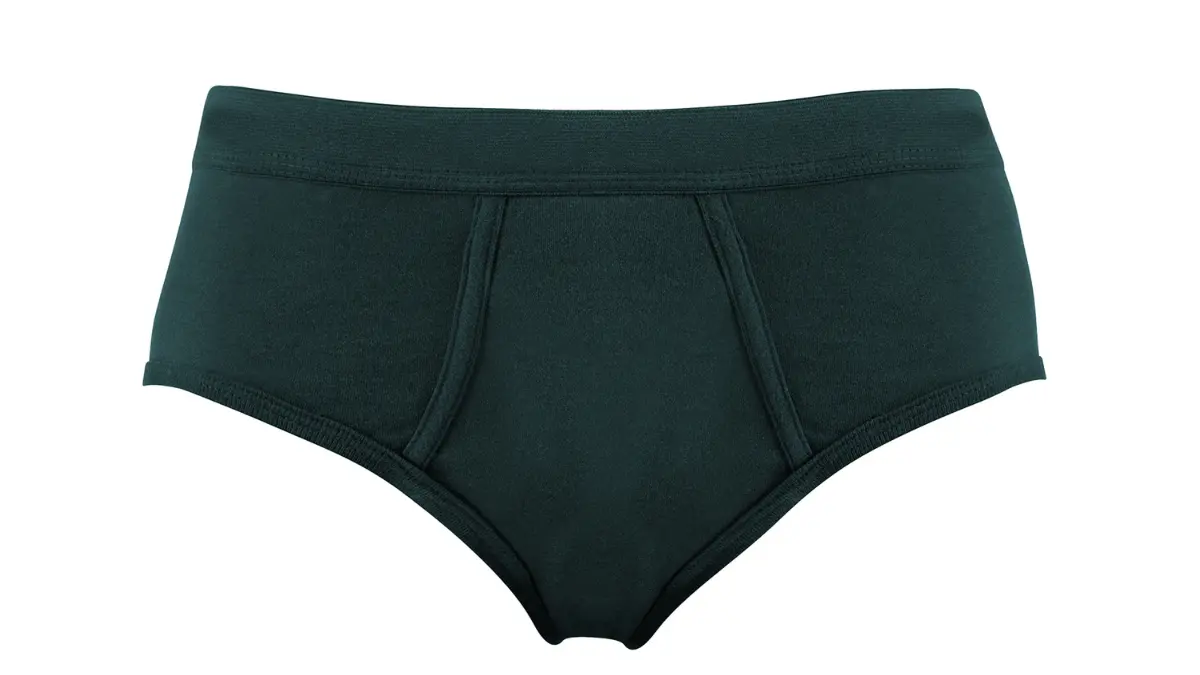 O que é cueca estilo slip