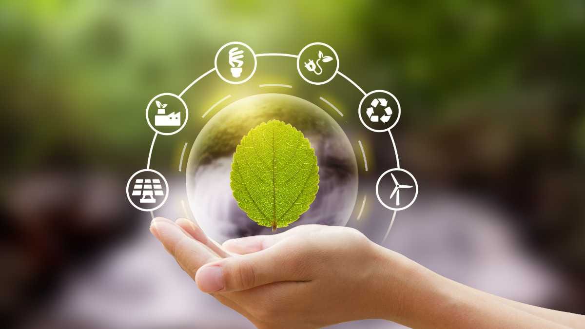 O que pode ser feito para evitar as mudanças climáticas