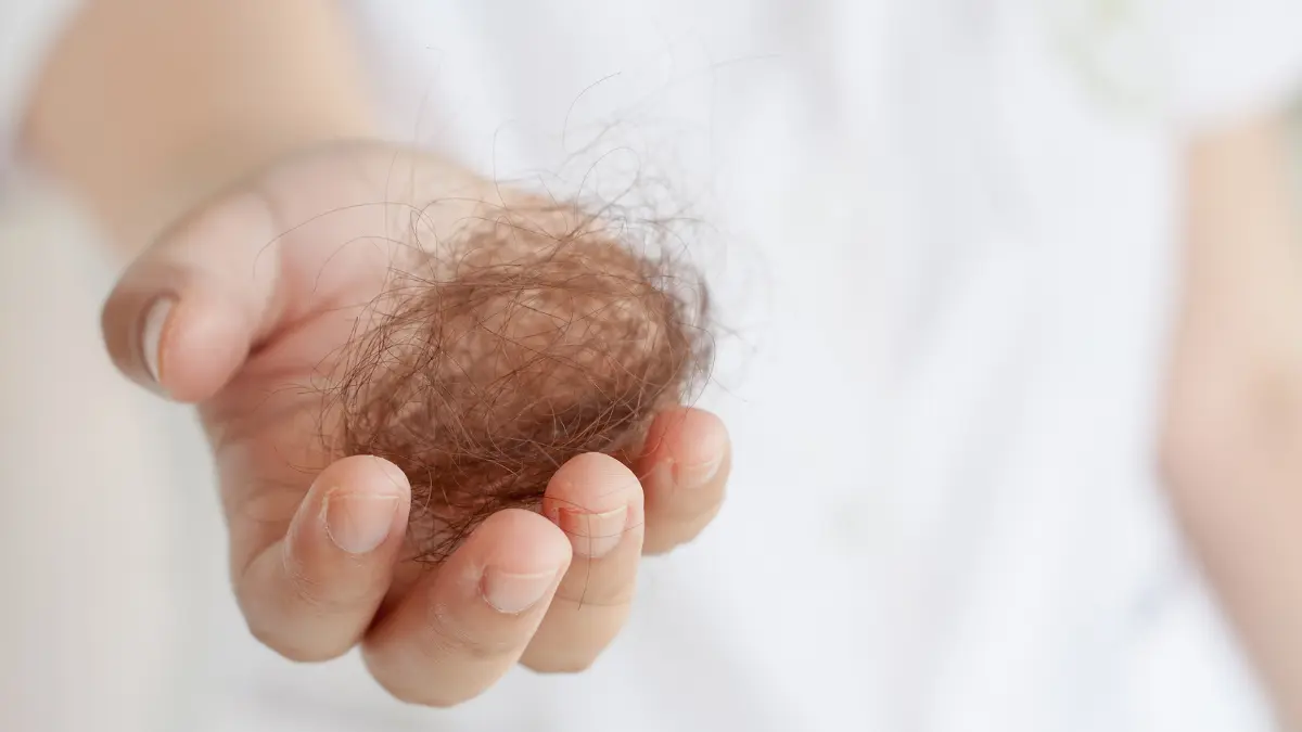 Qual o melhor óleo para queda de cabelo