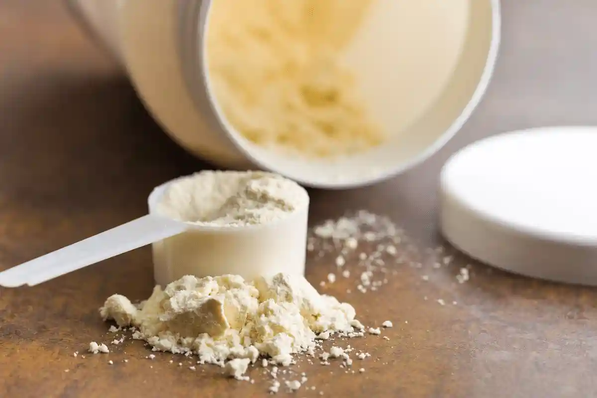 whey-protein-proteina-vegetal-qual-melhor